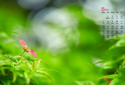 ​好听的抖音唯美名字(优选61个)