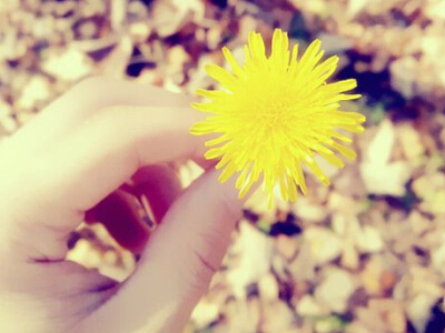 四个字简单网名,四字网名简单气质