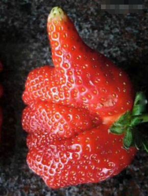 四个字简单网名,四字网名简单气质