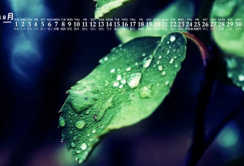 1692995031126177.png image.png