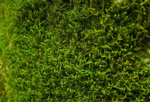 1692995196208101.png image.png