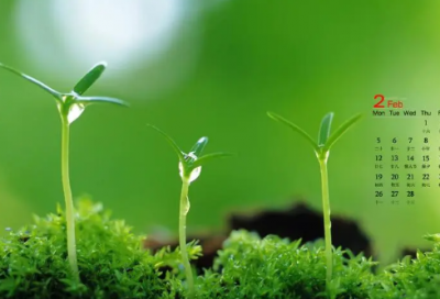 ​给思念取一个好名字(共71个)