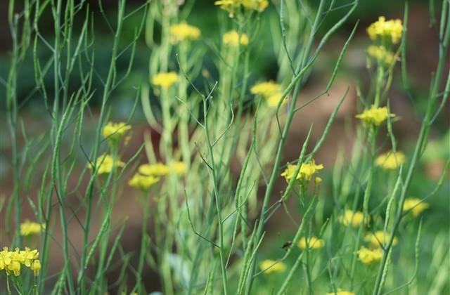 快手的情侣网名(精选110个)