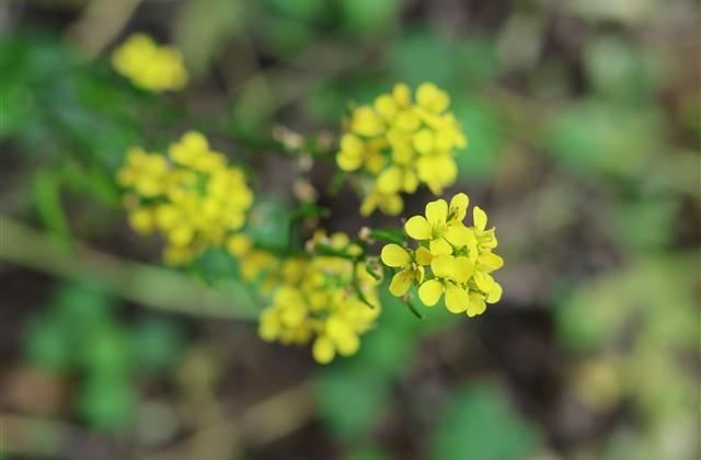 快手的情侣网名(精选110个)