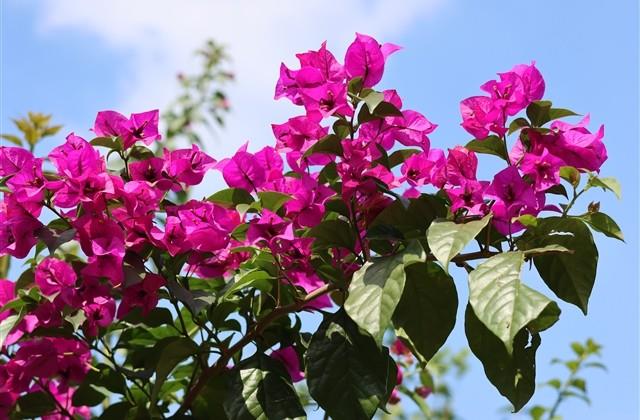 qq失恋忘不掉的网名(213个)