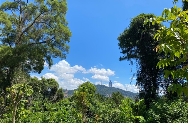 带仙气的女生可爱网名(优选548个)