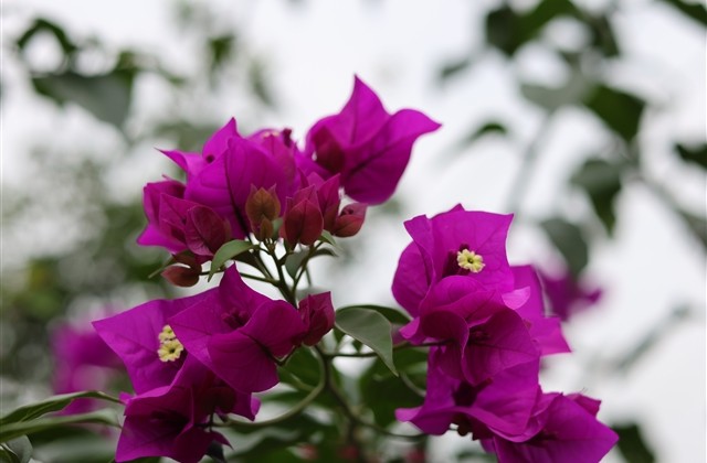 简单顺口的三字网名(616个)