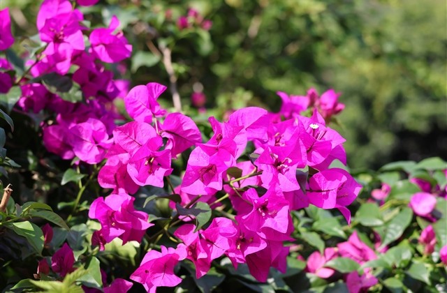 四字的意境网名(优选538个)